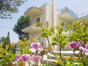 Гостиница Areti & Maria Apartments  Гитейо